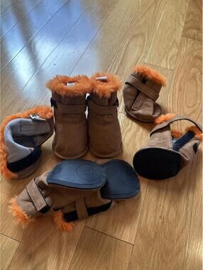 UGG Dog Boots with Orange Fur Trim